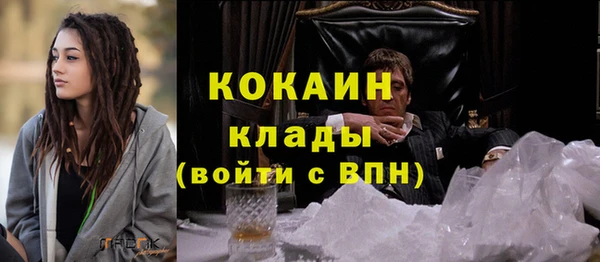 крисы Верея