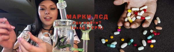 крисы Верея