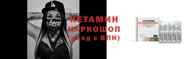 крисы Верея