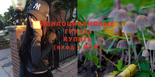 крисы Верея