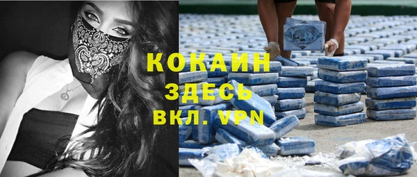 крисы Верея